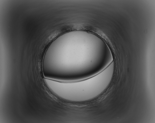 X0000086010393200703230915