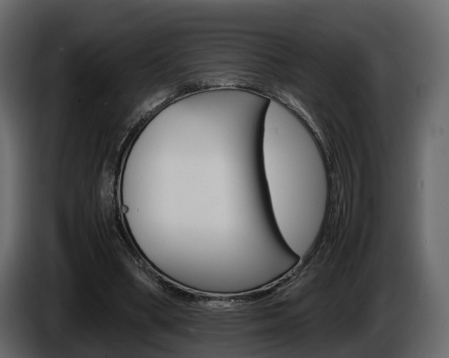 X0000086010394200703230915