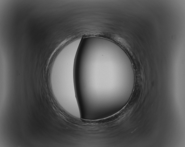 X0000086010395200703230915