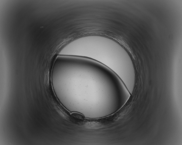 X0000086010397200703230915
