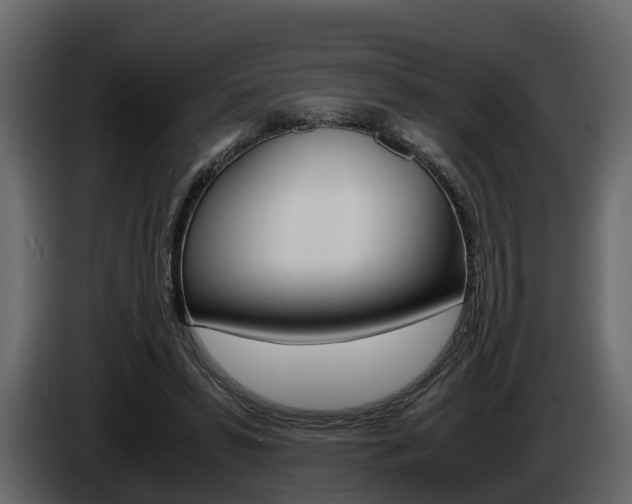 X0000086010399200703230915