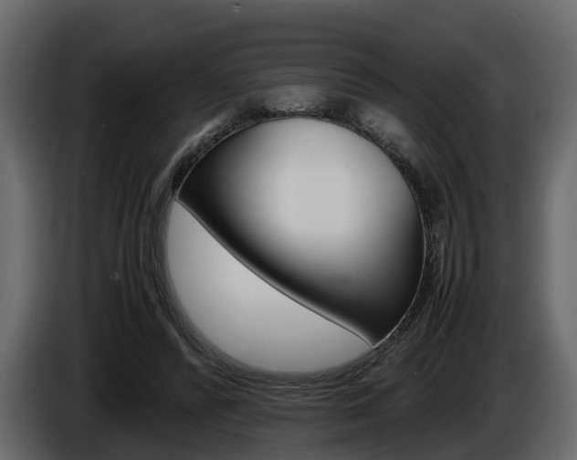 X0000086010400200703230915