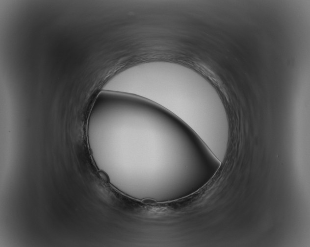 X0000086010401200703230915