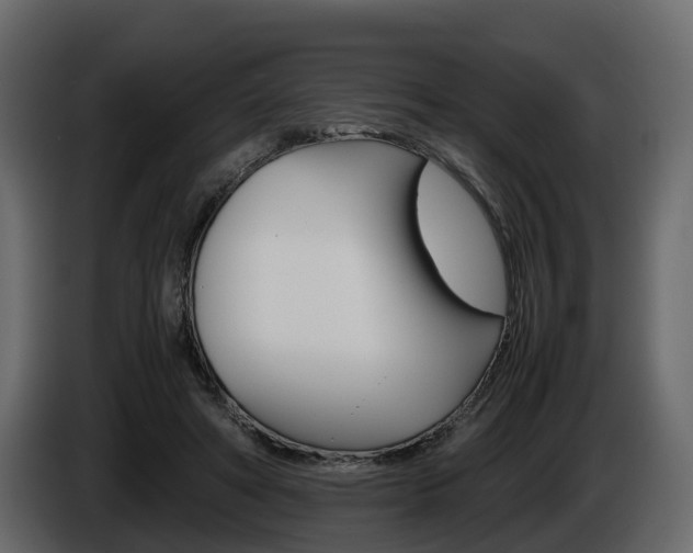 X0000086010402200703230915