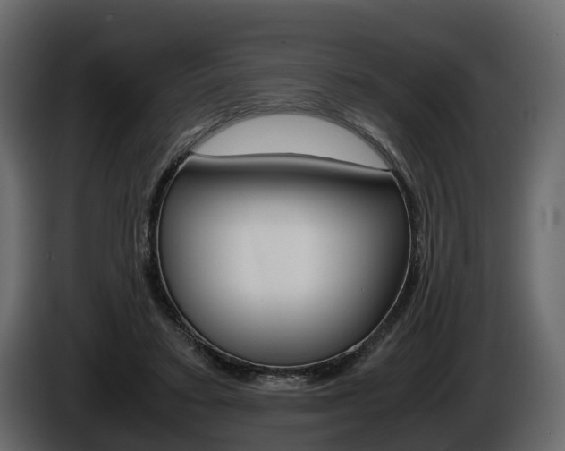 X0000086010403200703230915