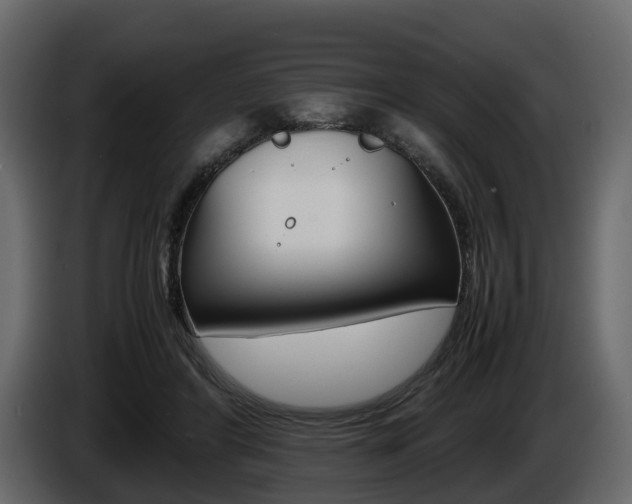 X0000086010404200703230915
