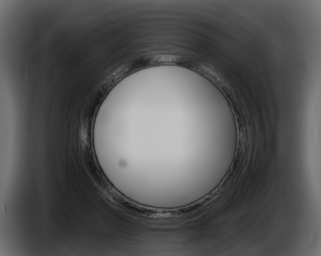 X0000086010406200703230915