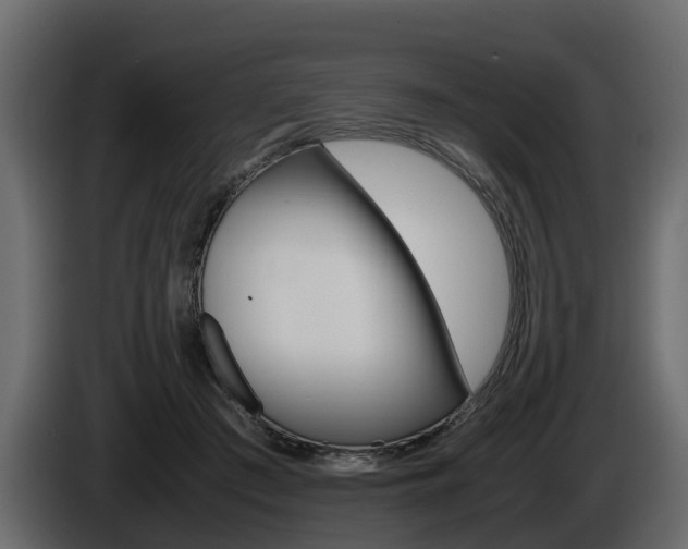 X0000086010409200703230915