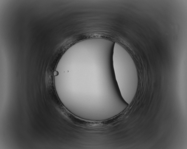X0000086010410200703230915