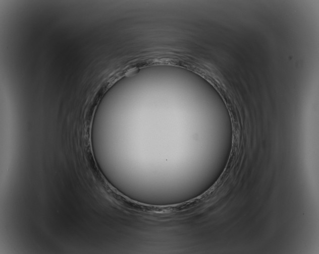 X0000086010411200703230915