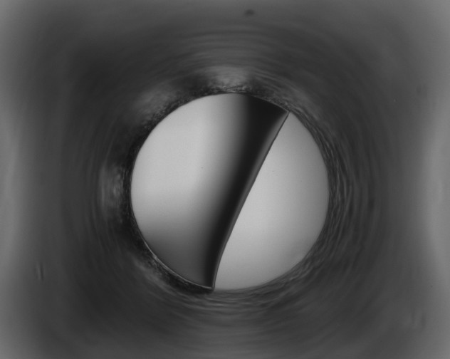 X0000086010412200703230915