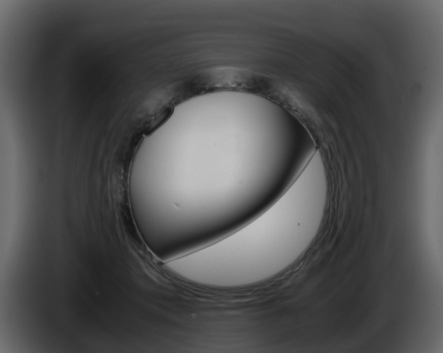 X0000086010413200703230915