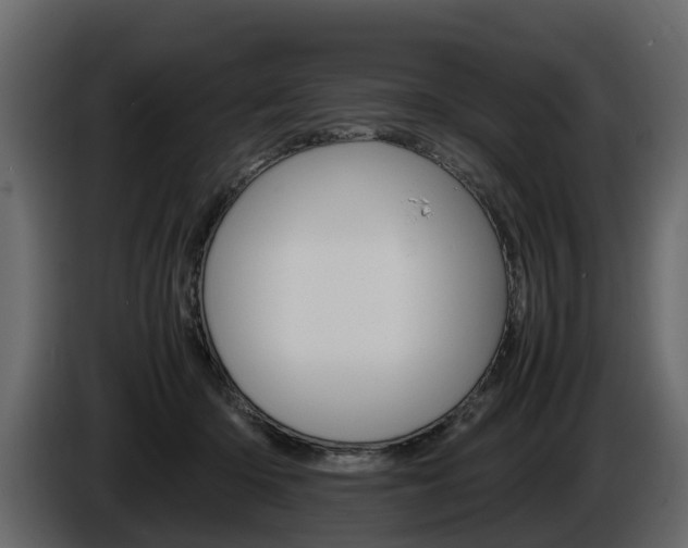 X0000086010414200703230915