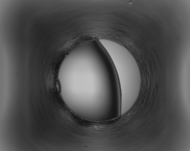 X0000086010416200703230915
