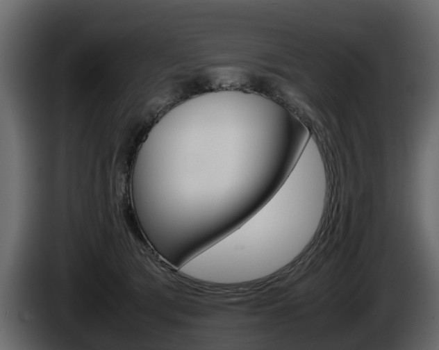 X0000086010417200703230915