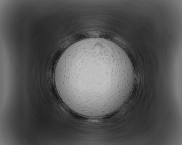 X0000086010418200703230915