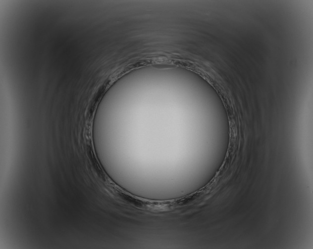 X0000086010419200703230915