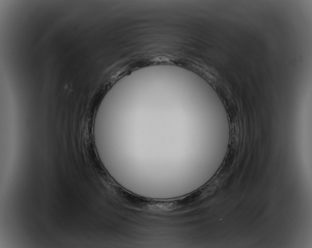 X0000086010422200703230915