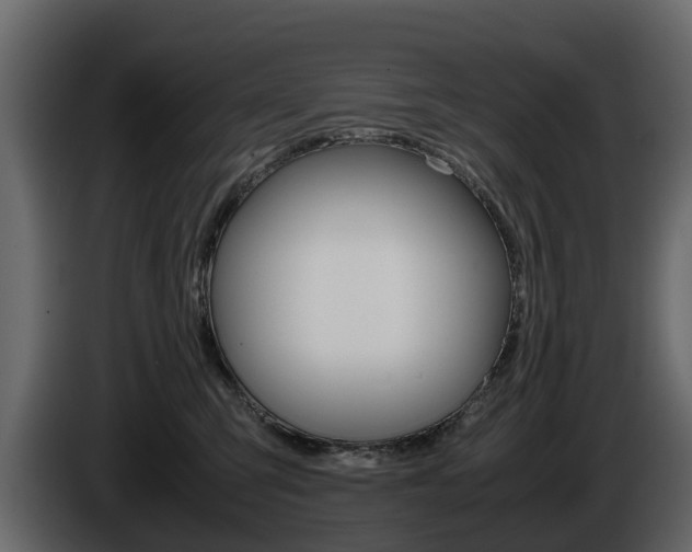 X0000086010423200703230915