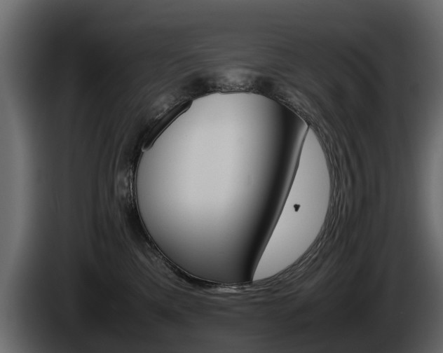 X0000086010425200703230915