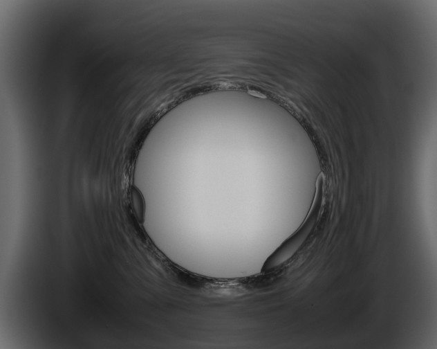 X0000086010427200703230915