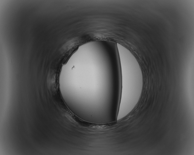 X0000086010428200703230915
