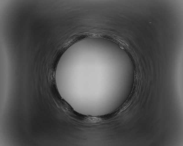 X0000086010429200703230915