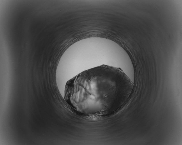 X0000086010432200703230915