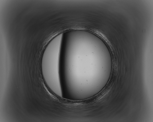 X0000086010433200703230914