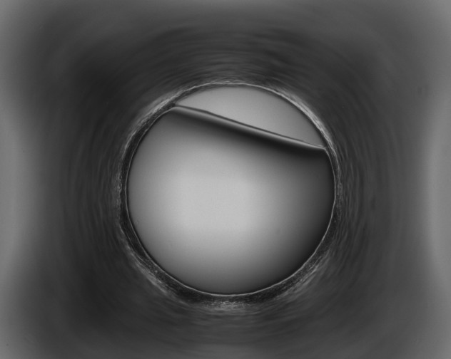 X0000086010437200703230914