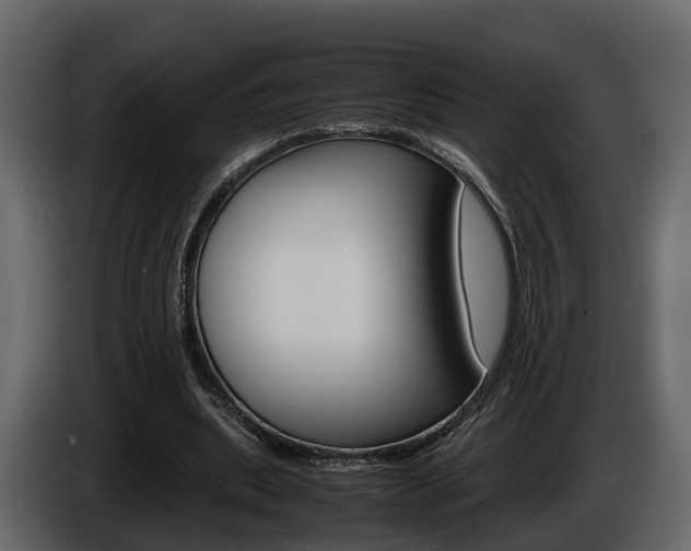 X0000086010439200703230914