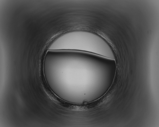 X0000086010442200703230914
