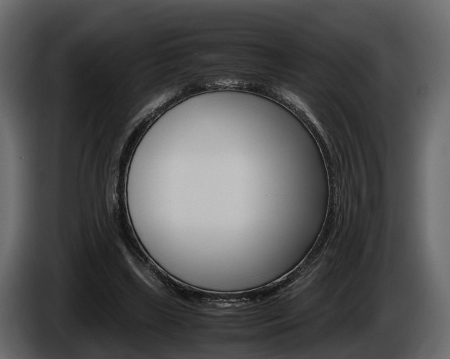 X0000086010443200703230914