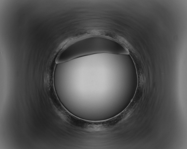 X0000086010444200703230914