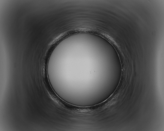 X0000086010446200703230914