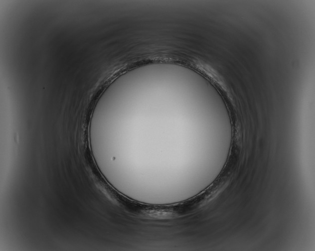X0000086010449200703230914