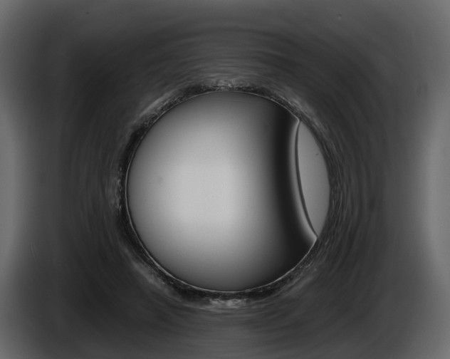 X0000086010450200703230914
