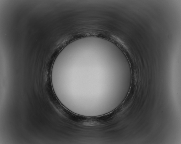 X0000086010451200703230914