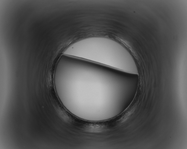 X0000086010453200703230914