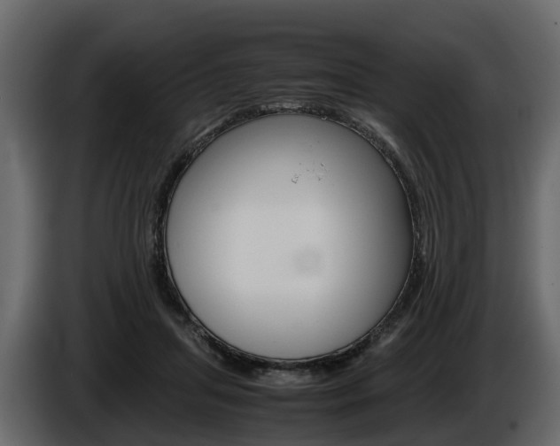 X0000086010455200703230914