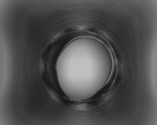 X0000086010456200703230914