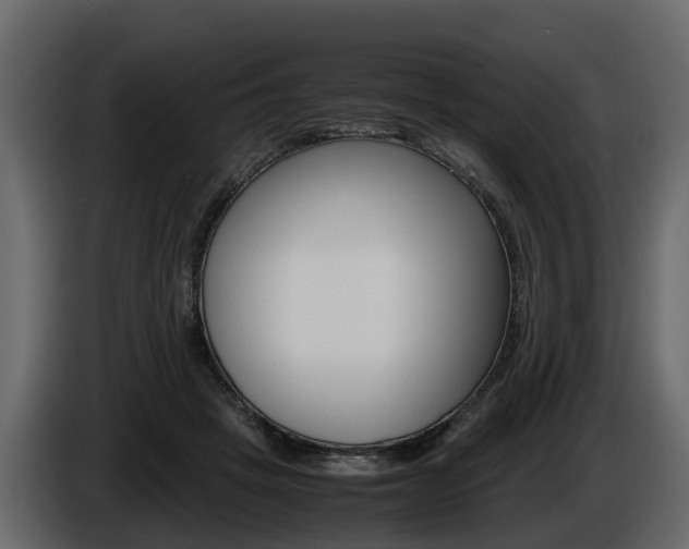X0000086010457200703230914