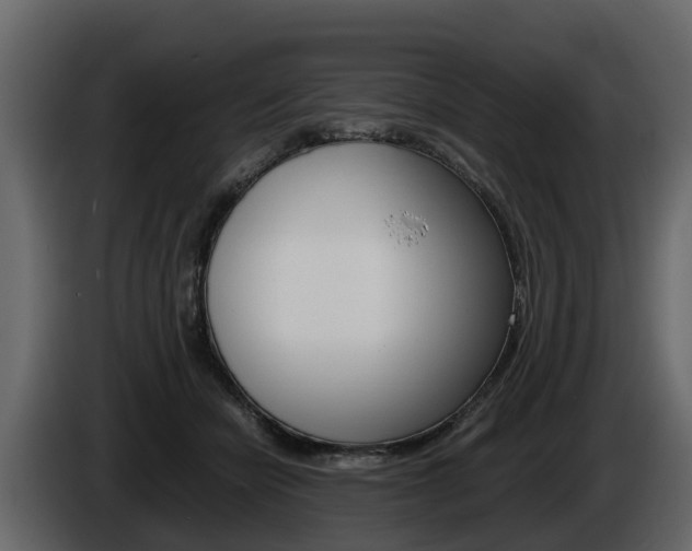 X0000086010462200703230914