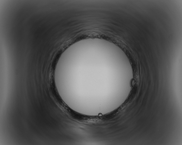 X0000086010468200703230915