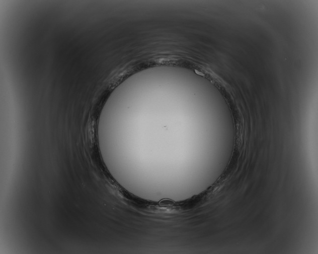 X0000086010475200703230915