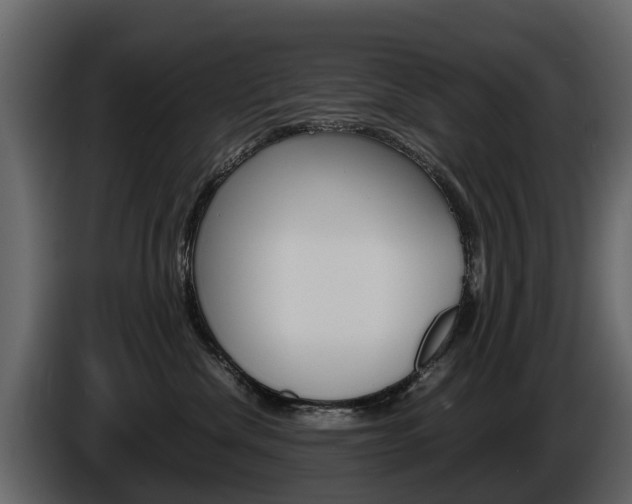 X0000086010476200703230915