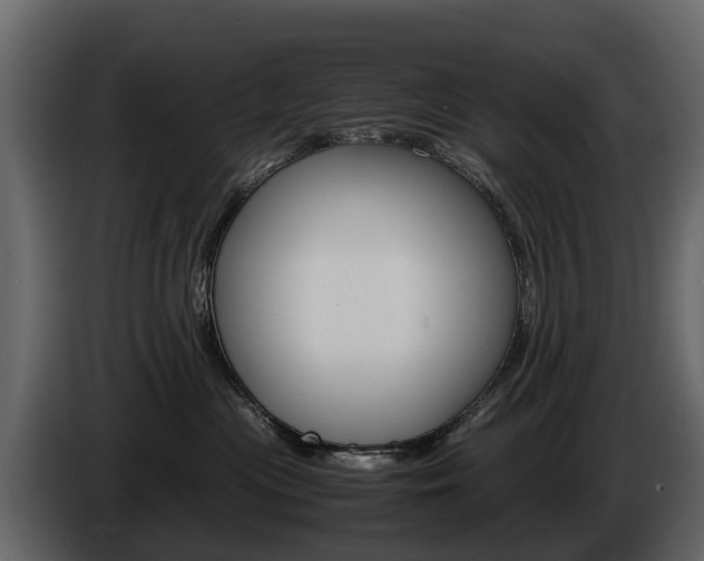 X0000086010477200703230915