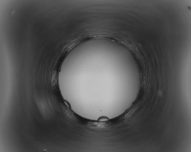 X0000086010478200703230915