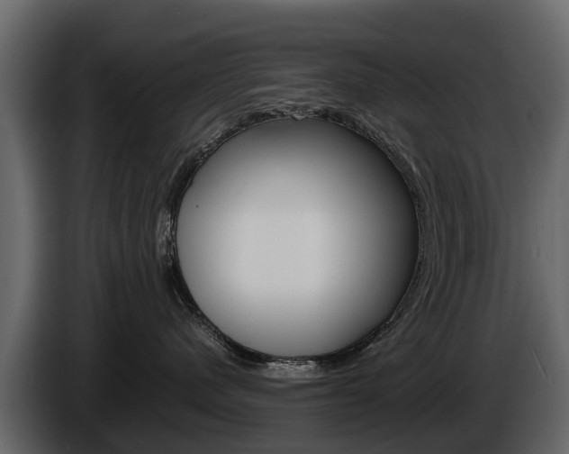 X0000086010480200703230915