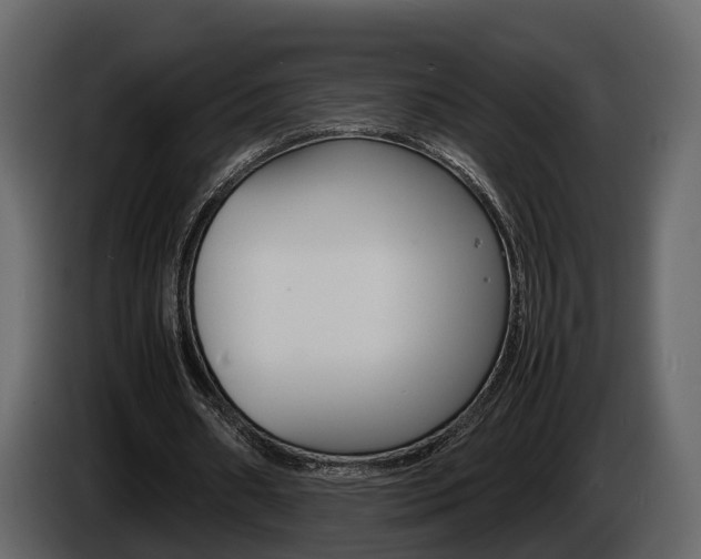 X0000086010482200703230914